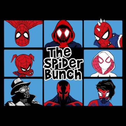 The spider bunch