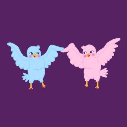 Cute Cartoon Dancing Blue and Pink Birds
