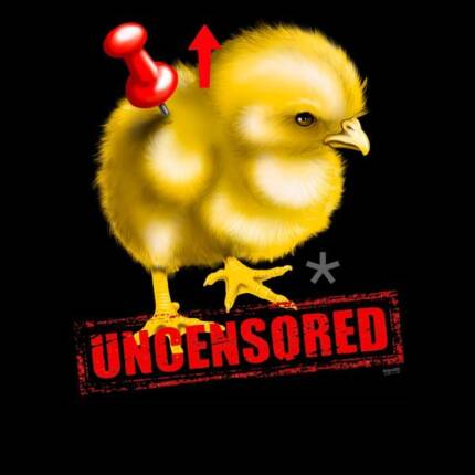 Pin Up Chick Uncensored