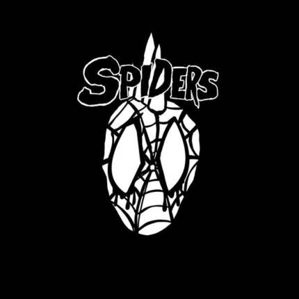 Punk Spider Band