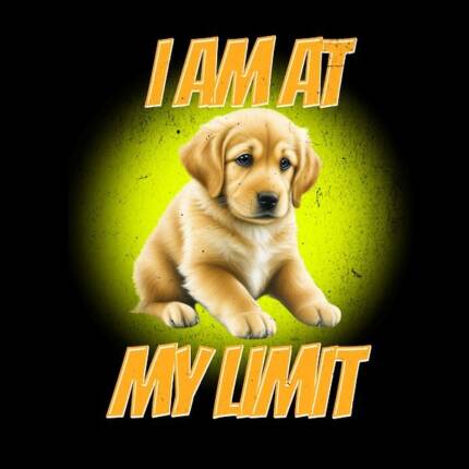 i am at my limit