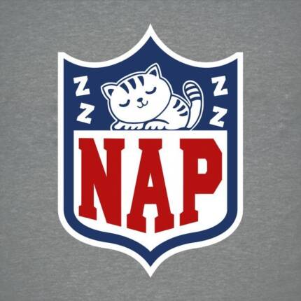 Nap After Playing