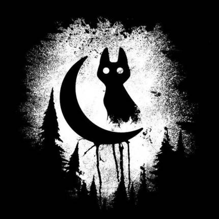Black Cat Magic