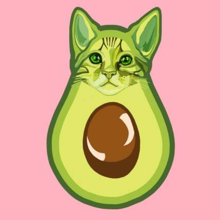 Green Kawaii Avocado Kitty Cat