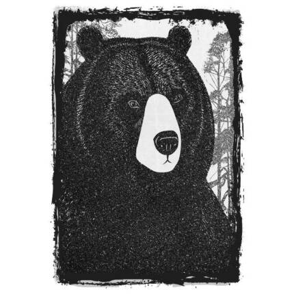 Wild BearEpisode 13