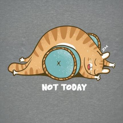 not today cat