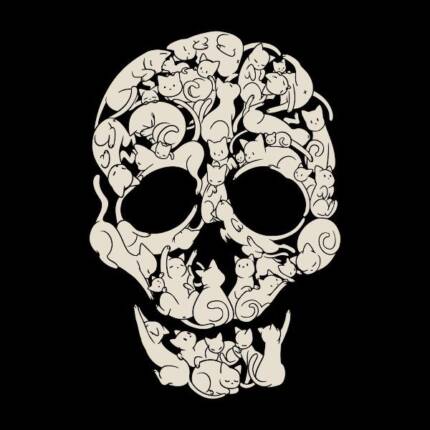 Cat Skeleton Skull by Tobe Fonseca