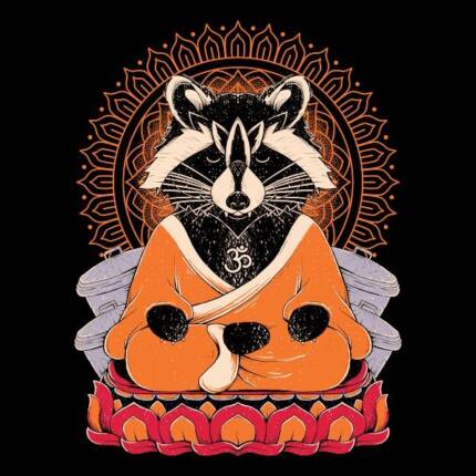 Raccoon Namaste