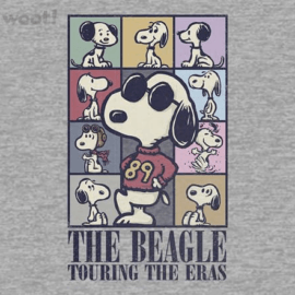 Eras of the Beagle