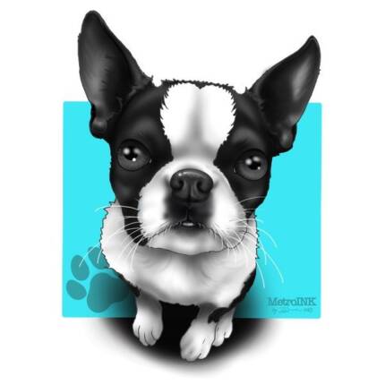 Baby Boy Boston