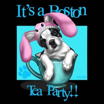 It’s a Boston Terrier Tea Party!