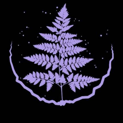 Refined ferns