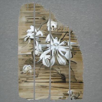 Strange Abstract Flowers. Impossible floral patterns