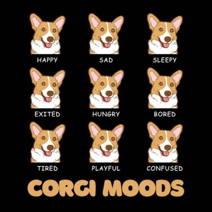 Corgi Moods