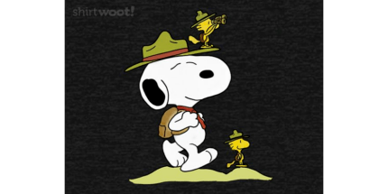 Scouting a Path Forward