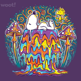 Melted Dreams